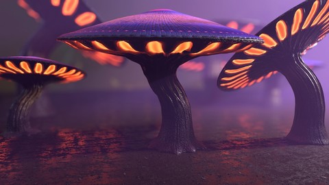 Fantasy Mushrooms Collection