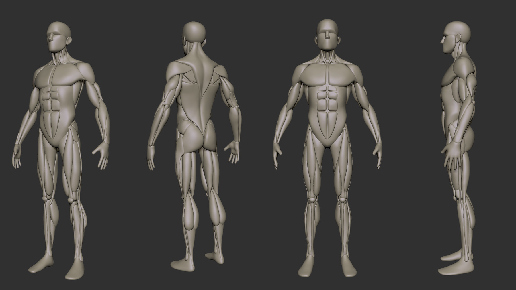 ArtStation - Simplified Anatomy Basemesh - Male | Artworks
