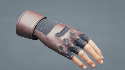 Gloves 3D model- Motorcycle Type