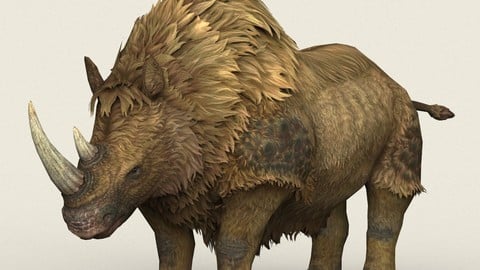 Ice Age Rhinoceros