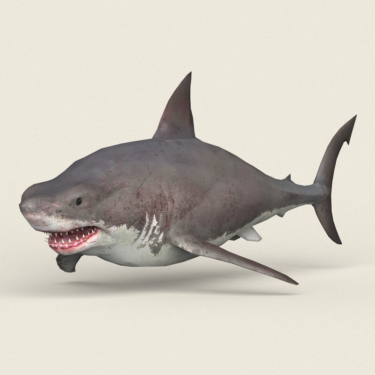 ArtStation - Shark