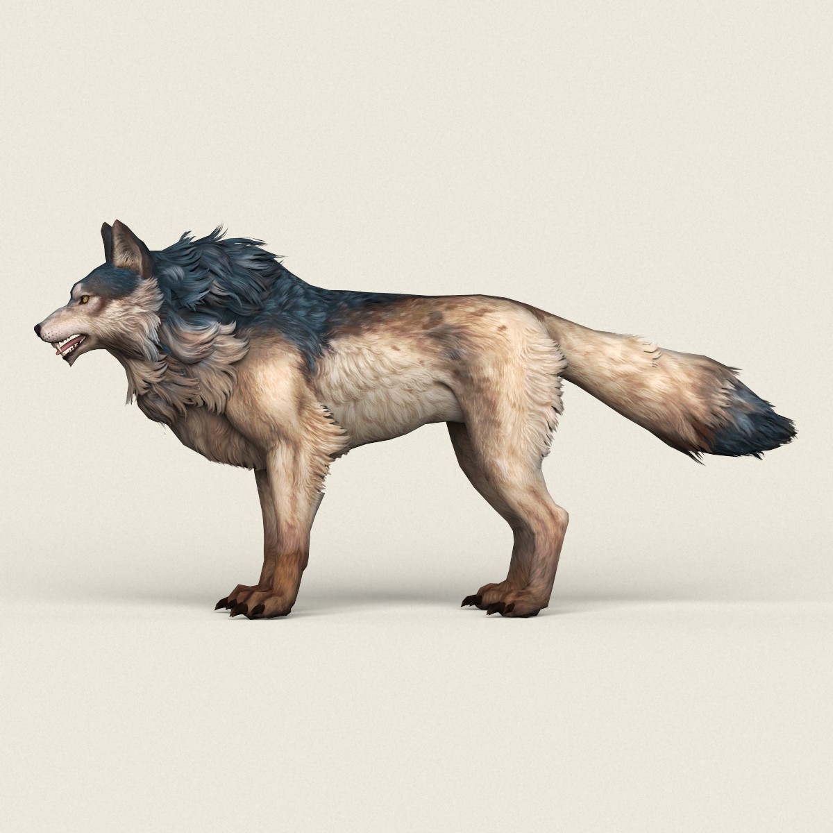 Wolf models. 3d Wolf модель. 3d модель волка текстура. SKZOO волк. Call Wolf 3d model.