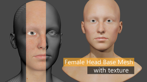 Female Head Base Mesh with Texture