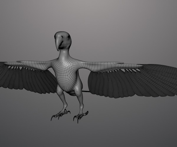 Image showcasing ArtStation - Macaw | Resources
