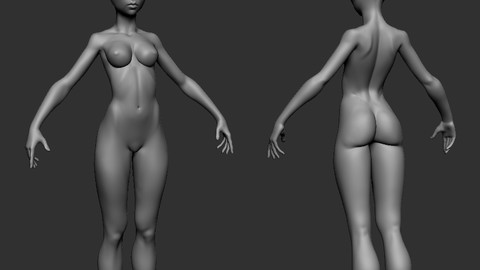 female stylized body Thin