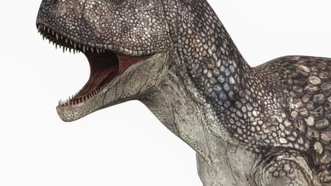 Carnotaurus Dinosaur