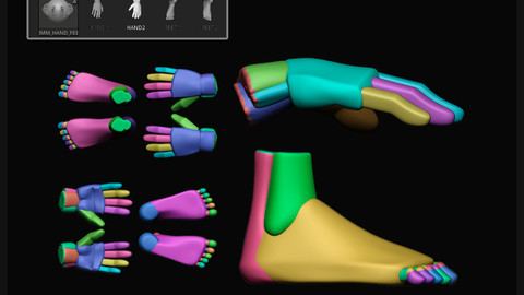 IMM BRUSH PACK - HANDS AND FEETS FOR ZBRUSH