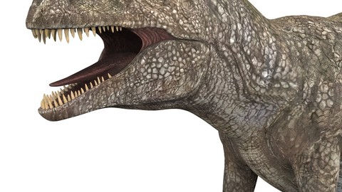 Giganotosaurus Dinosaur