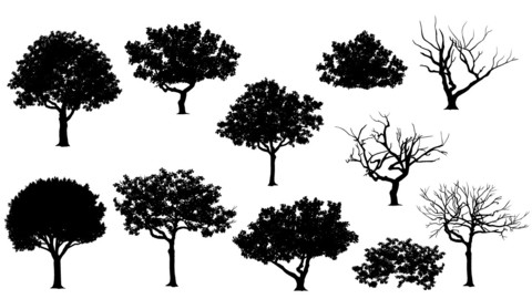 Vector Trees in silhouettes
