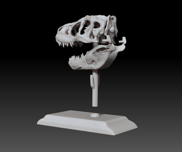 product thumbnail 13
