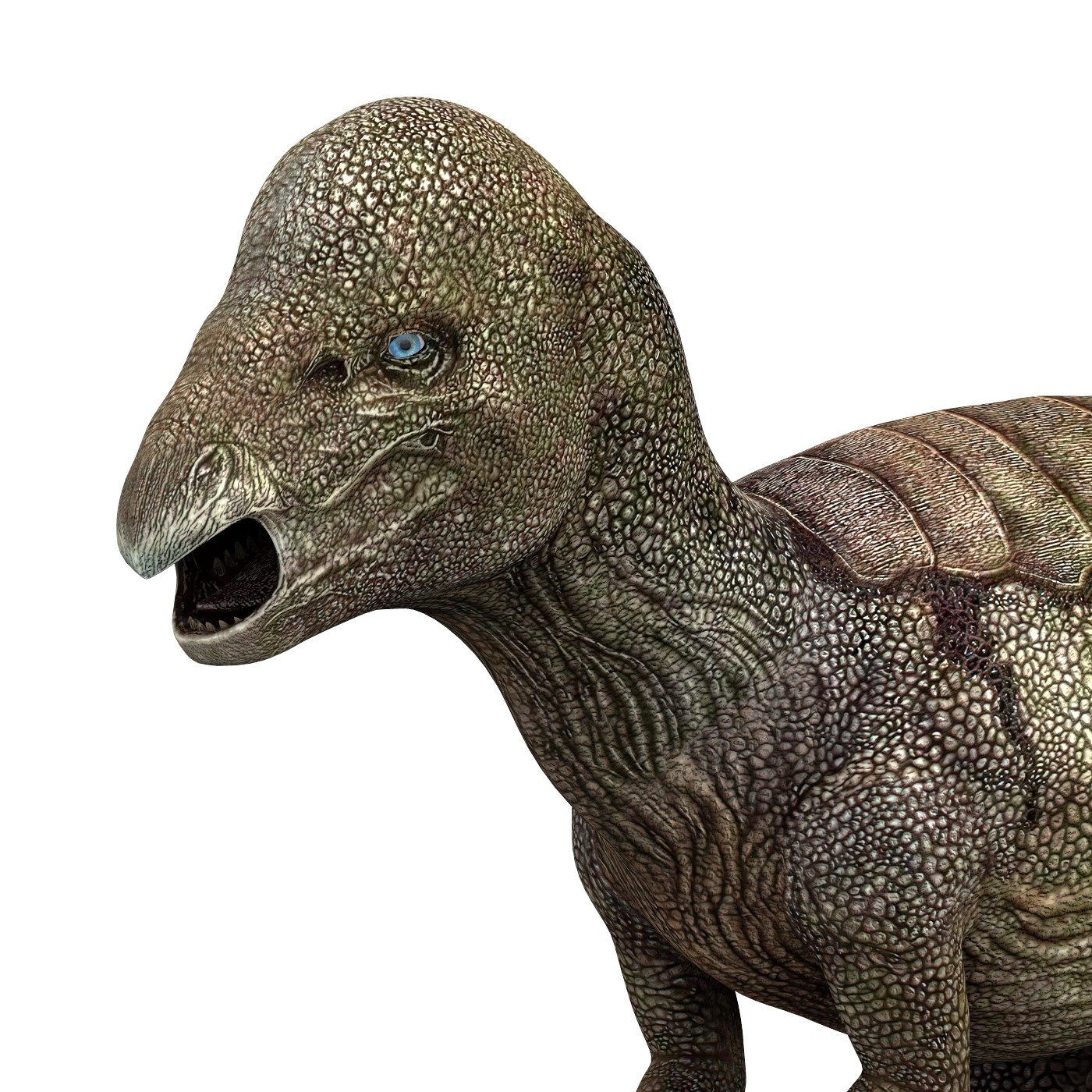 Pachycephalosaurus Dinosaur Side Profile Digital Art - vrogue.co