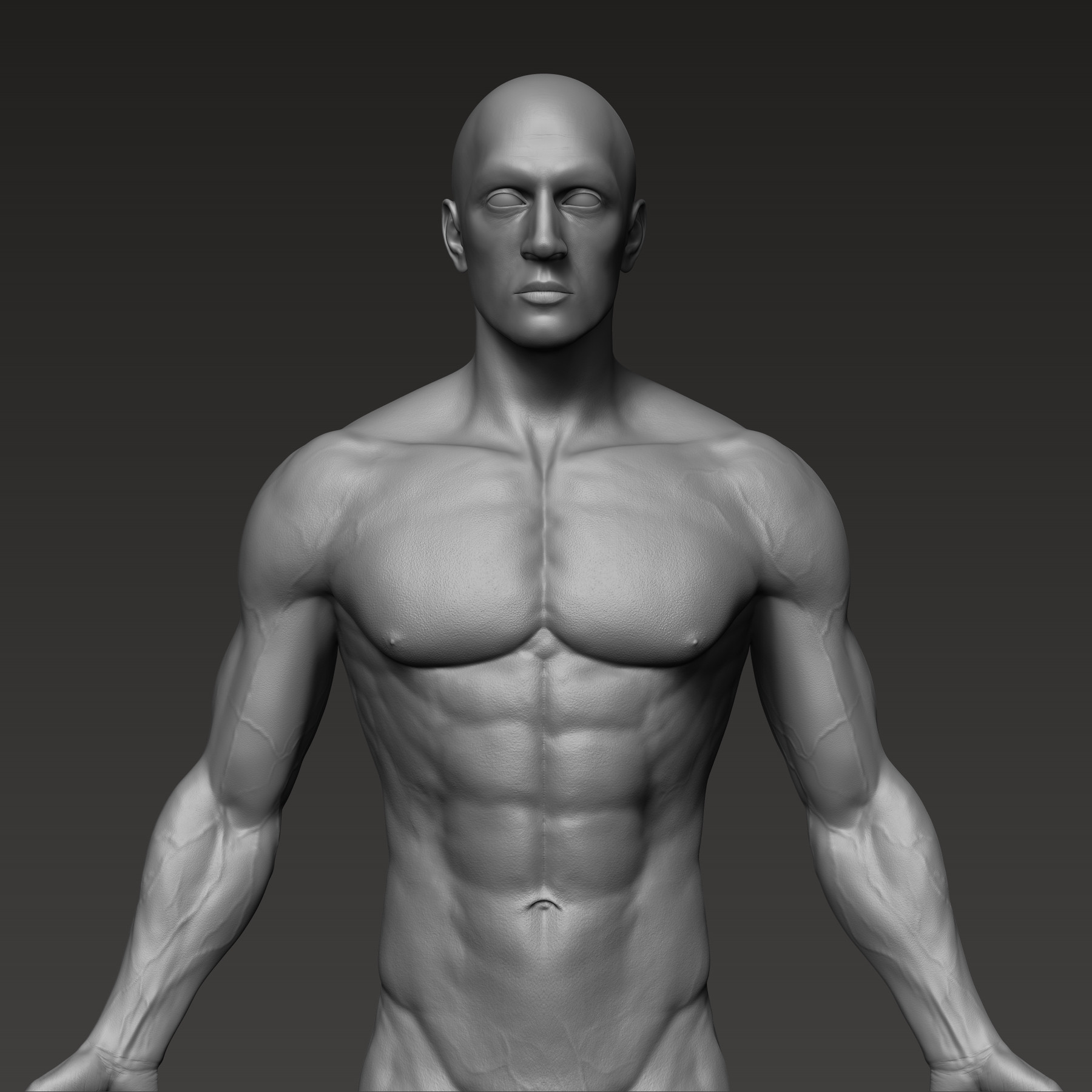 Artstation Anatomically Correct Muscular Male Body Low And High Poly Low Poly 3d Model Resources