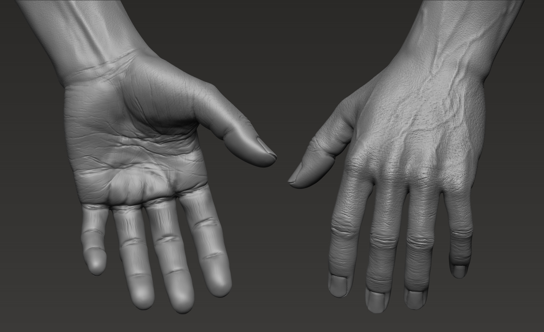 ArtStation Anatomically correct muscular male body Low and High Poly