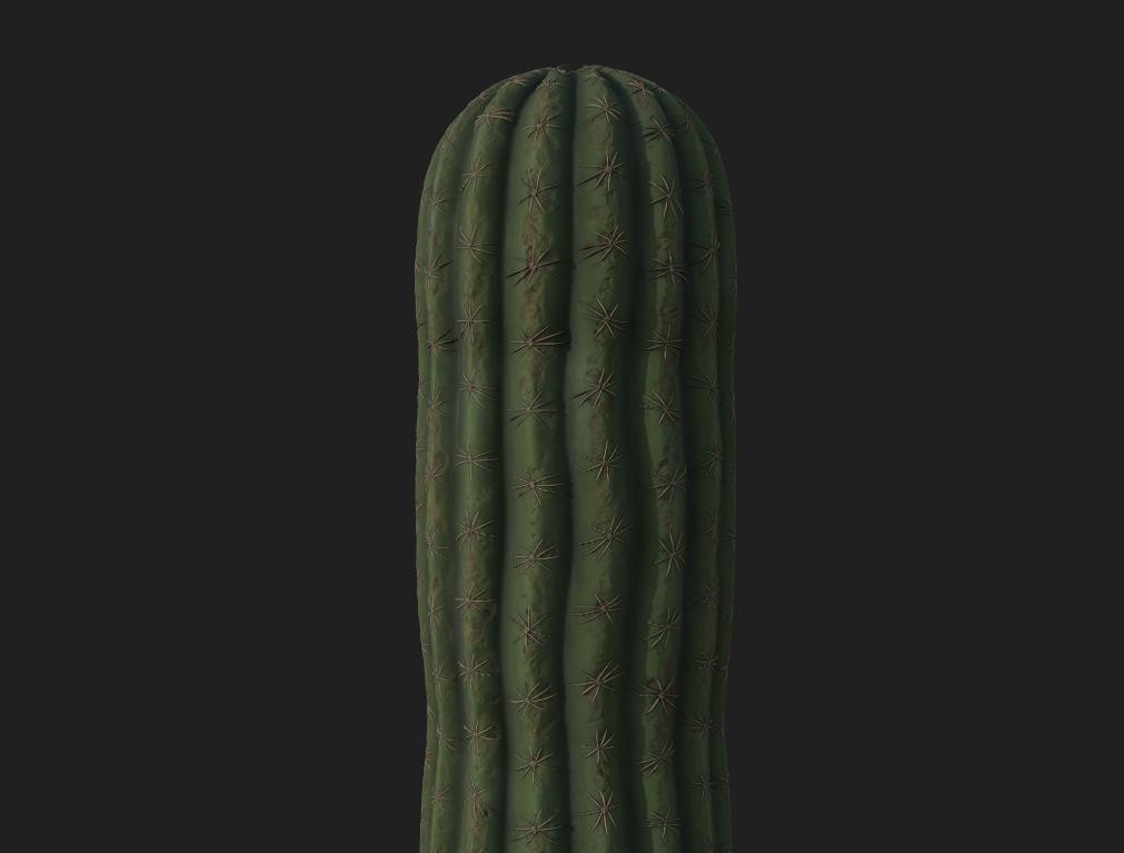 essay generator cactus