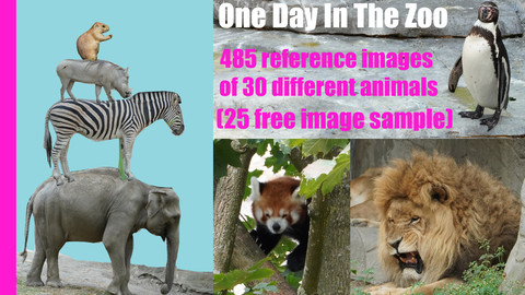 One Day in the Zoo vol. 01 - Animal Reference Pack