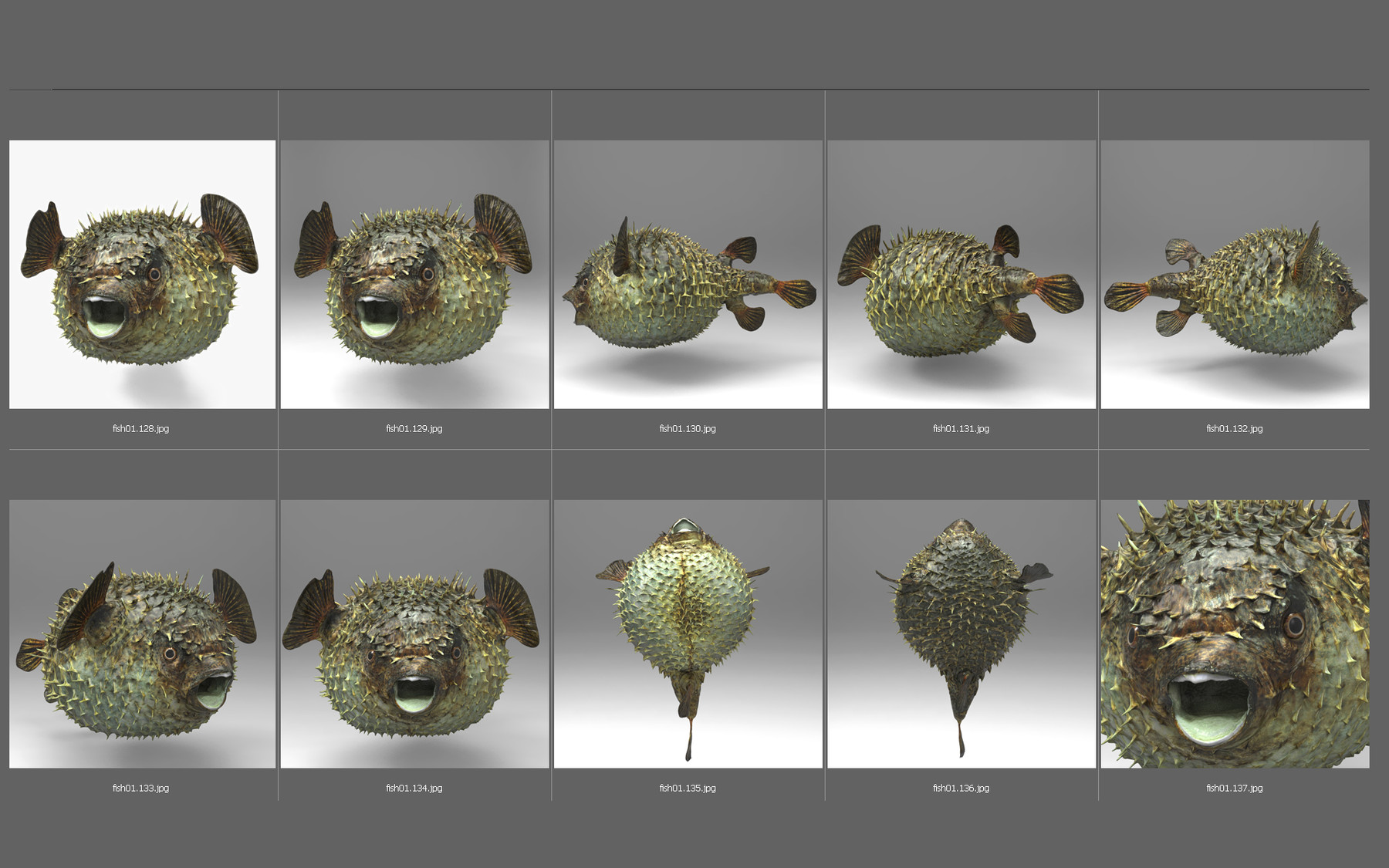 3D Scanning A Fish 