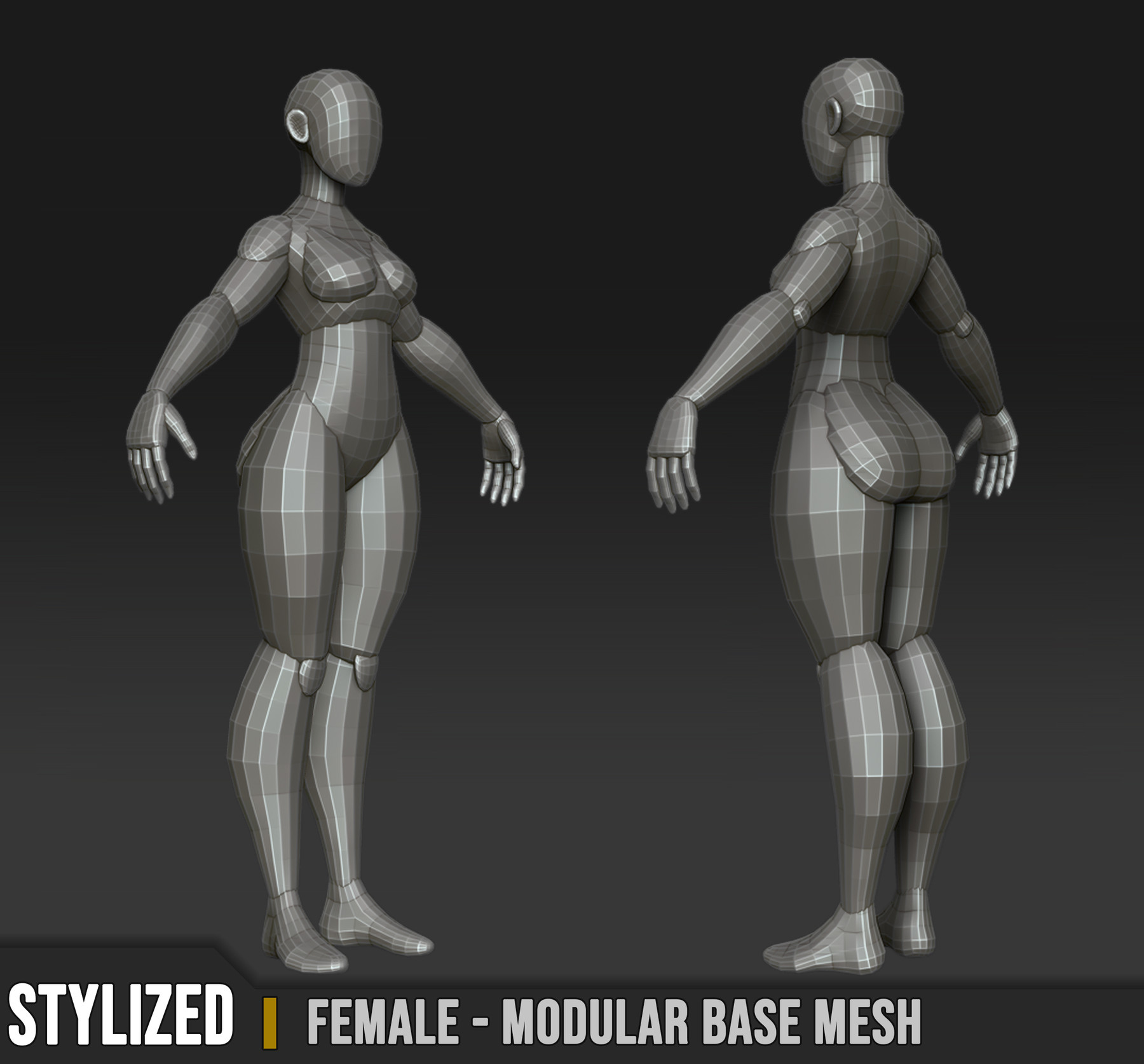 Female Custom Base Mesh 3d Model
