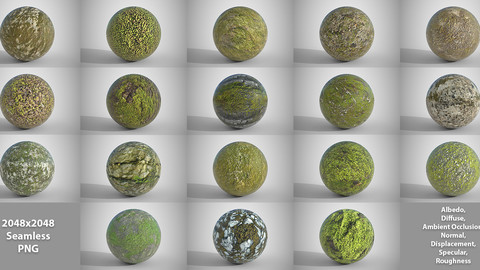 18 Seamless Mossy Surfaces PBR Volume 3