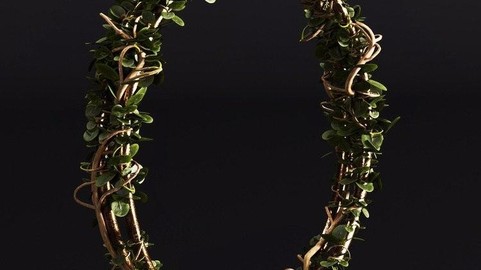 80 Min SpeedTree Tutorial – Ivy Flower