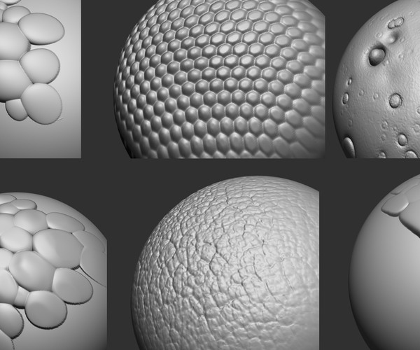 ArtStation Animals Skin Brushes ZBrush Brushes