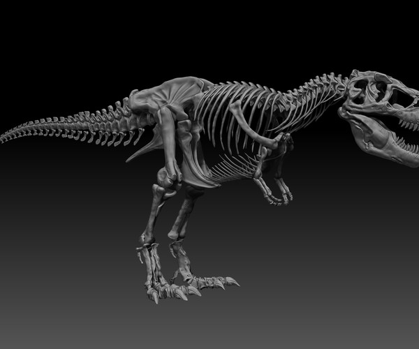 ArtStation - Sub Tyrannosaurus Rex Full Skeletons - SubRex Sculpt ...