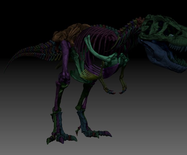 ArtStation - Sub Tyrannosaurus Rex Full Skeletons - SubRex Sculpt ...