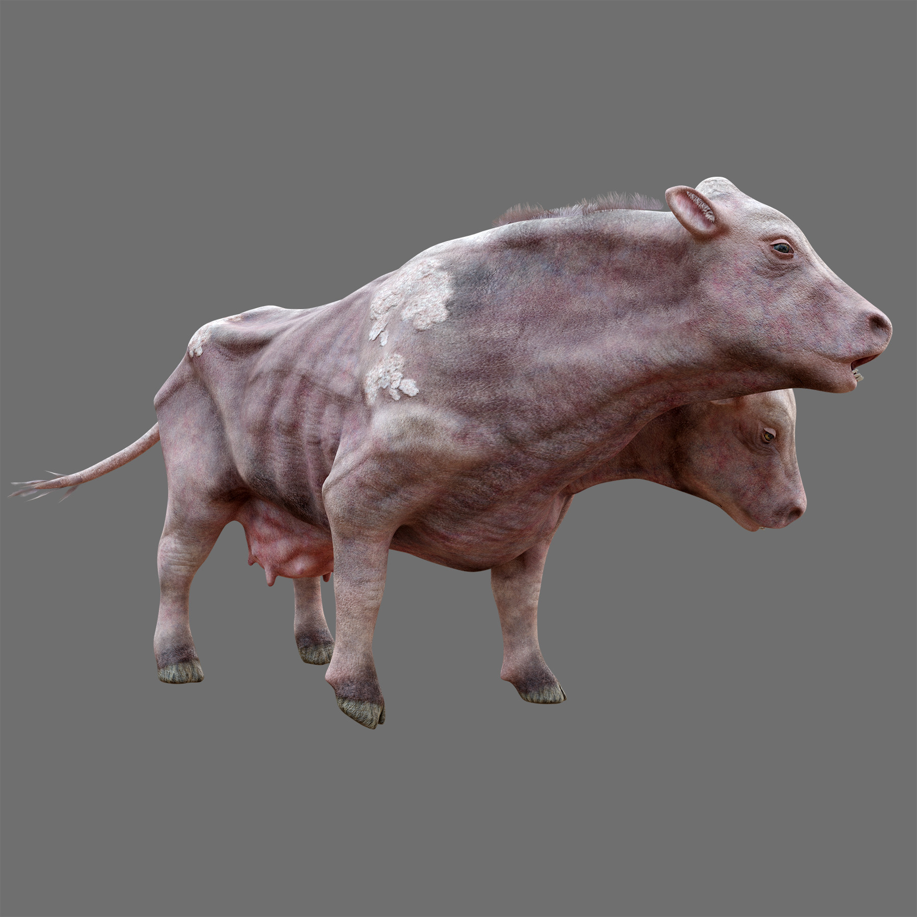 ArtStation - Mutated Cow | Game Assets