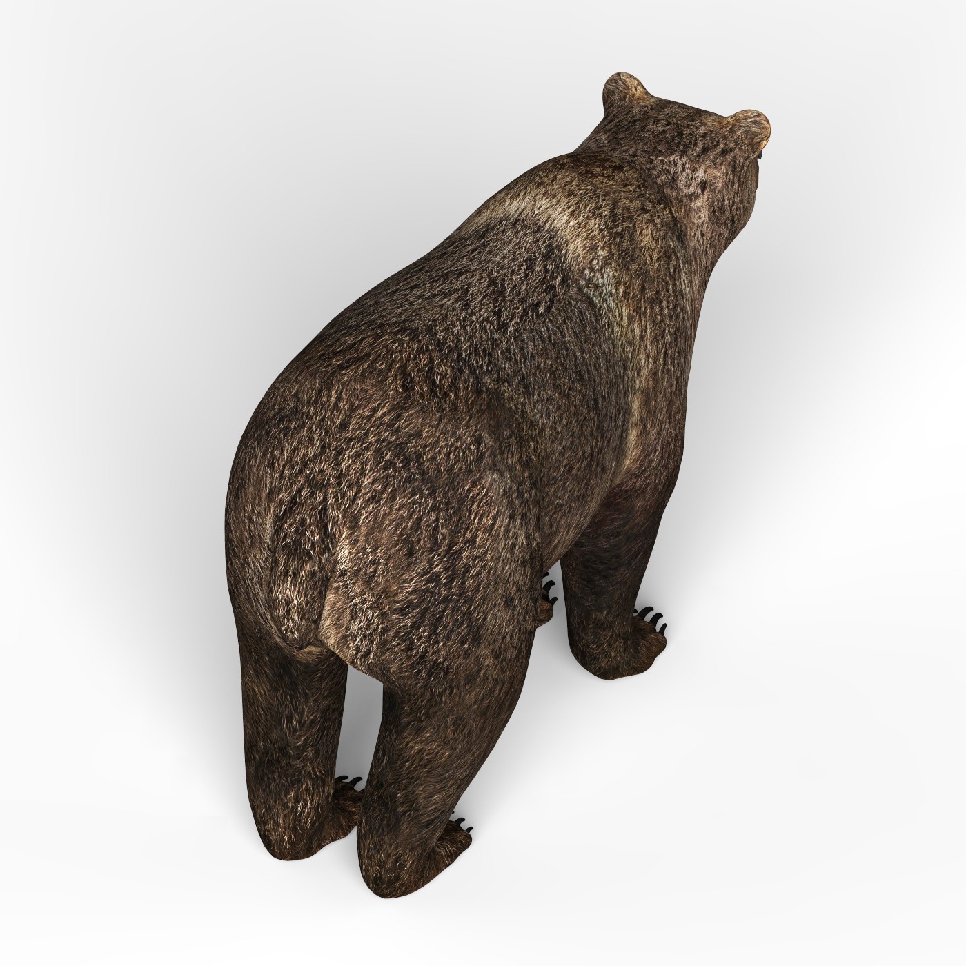 ArtStation Low Poly Wild Animal 3D Model Collection Resources