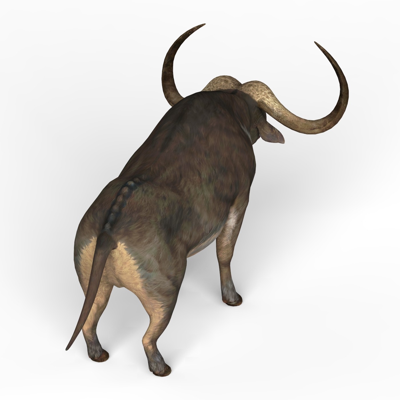 ArtStation Low Poly Wild Animal 3D Model Collection Resources