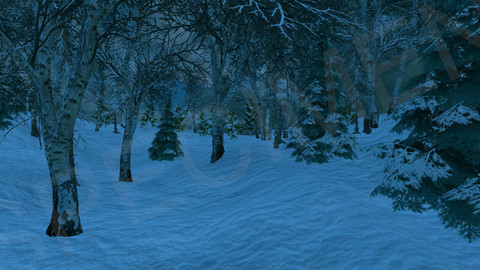 Silent Snow in the Woods