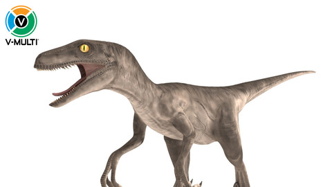 3D Model: Velociraptor Rigged