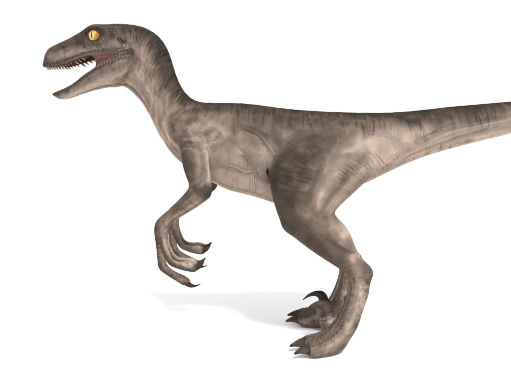 velociraptor realistic