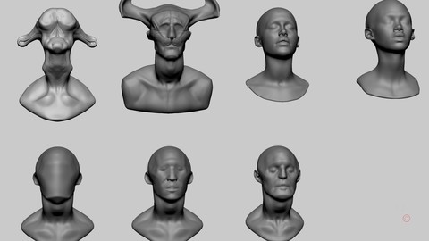 Base Head Models