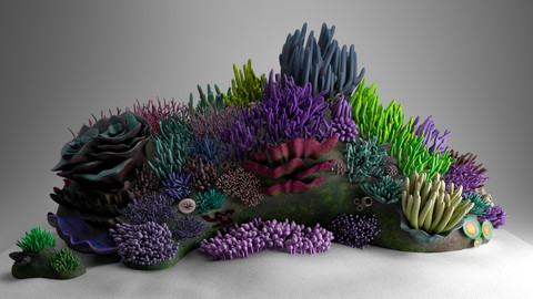 3D Underwater Ocean Coral Reef