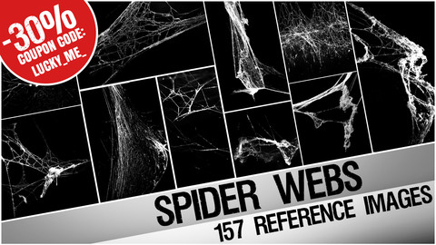 Spider Webs cobwebs - reference images pack