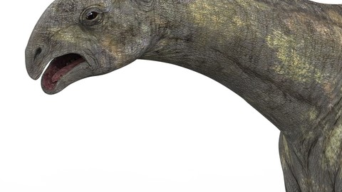 Paraceratherium Dinosaur