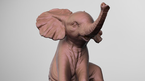 Baby Elephant For 3D Print