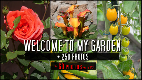 Flowers : Welcome to my garden - +300 photos