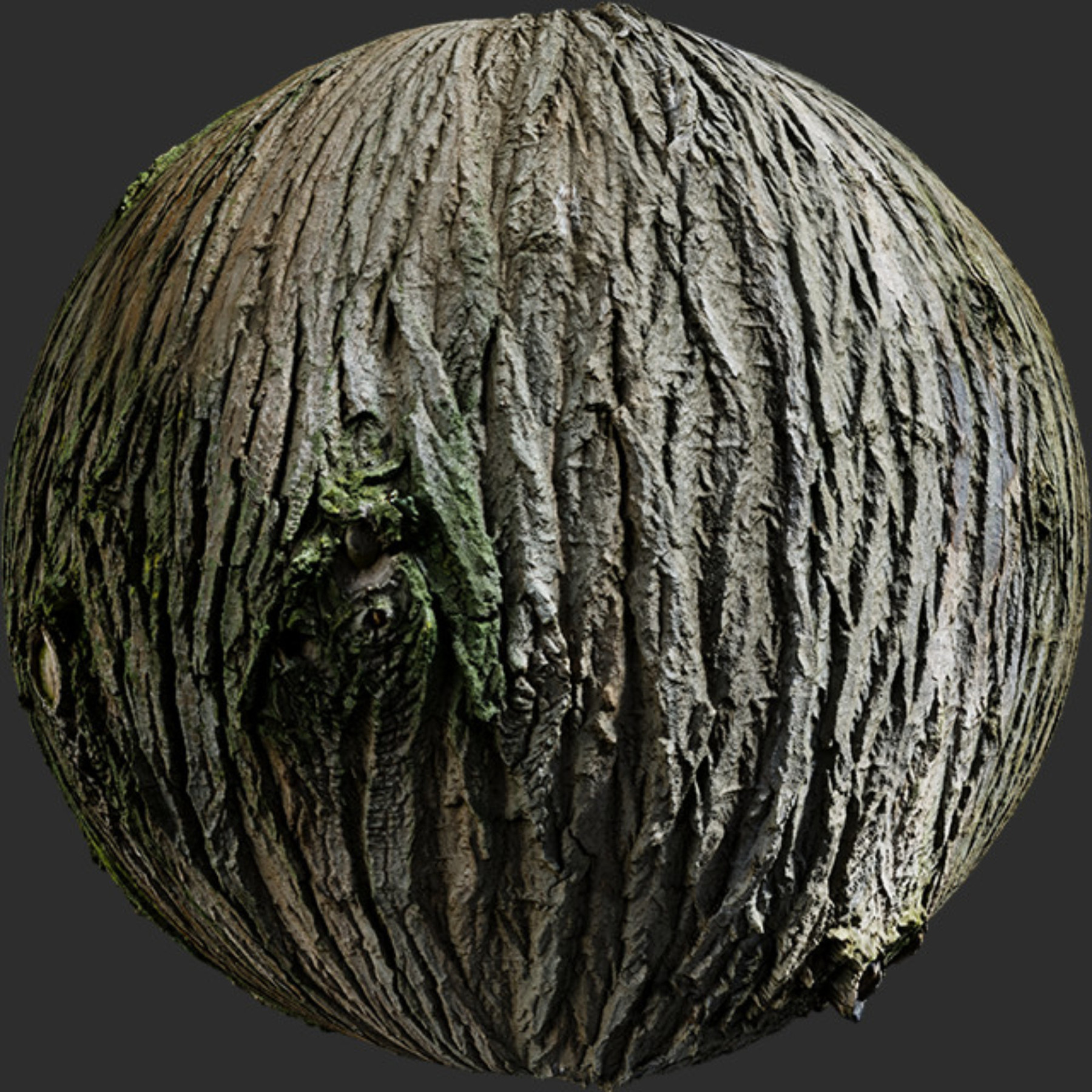 Texture haven. PBR дерево. Palm Bark PBR. 3д текстура коры. PBR Oak Bark texture.