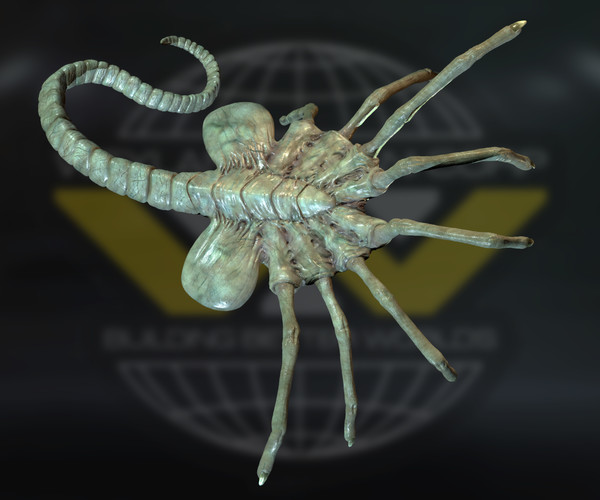 ArtStation Facehugger, high resolution 3D model. Game Assets