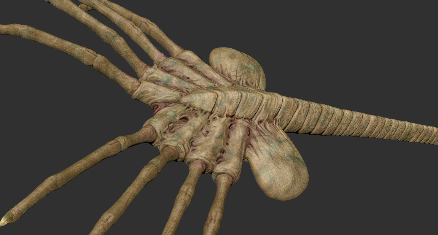 ArtStation Facehugger, high resolution 3D model. Game Assets