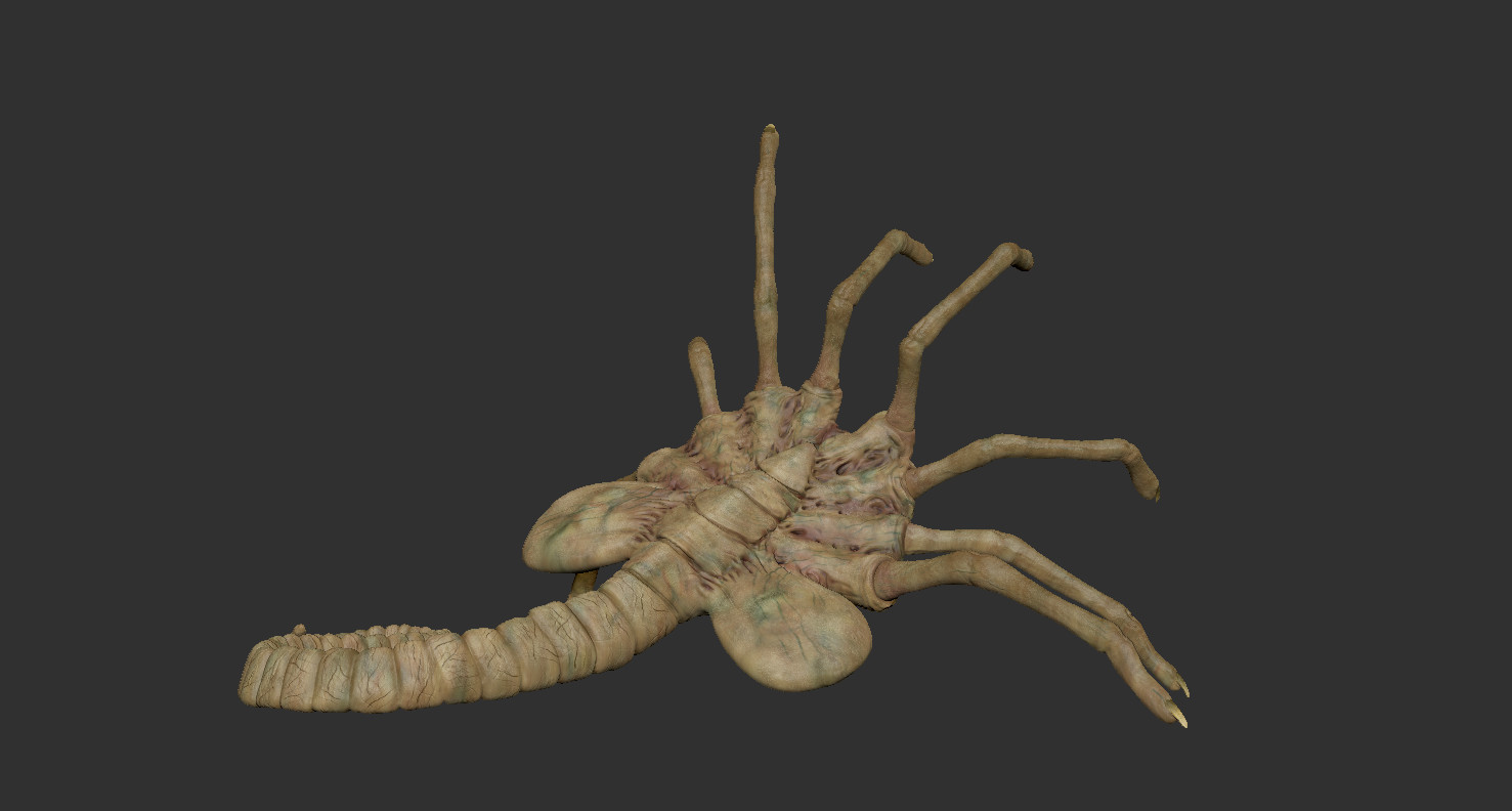 ArtStation Facehugger, high resolution 3D model. Game Assets