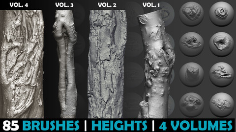 Zbrush - Trunk Detail Brushes set | 4 Volume