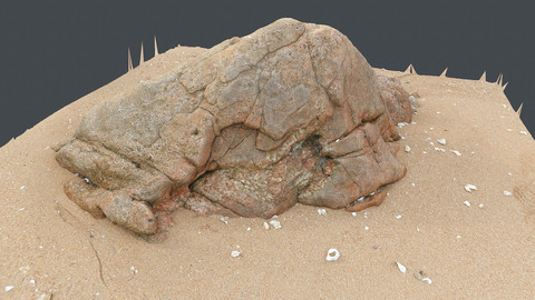 Photoscan_Beach Rock_0029_only HighPoly Mesh (16K Texture)