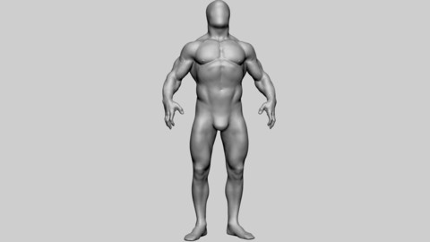 Base Male Anatomy v2