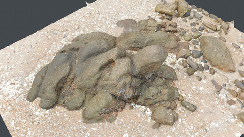 Photoscan_Beach Rock_0035_only HighPoly Mesh (16K Texture)