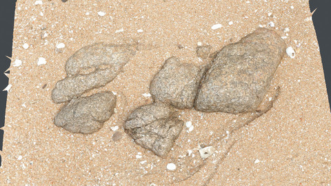 Photoscan_Beach Rock_0036_only HighPoly Mesh (16K Texture)