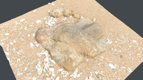 Photoscan_Beach Rock_0038_only HighPoly Mesh (16K Texture)