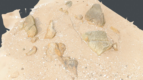 Photoscan_Beach Rock_0041_only HighPoly Mesh (16K Texture)