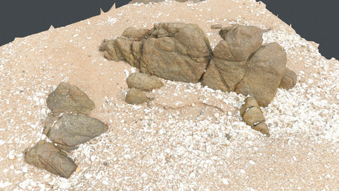 Photoscan_Beach Rock_0042_only HighPoly Mesh (16K Texture)